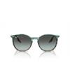 Ray-Ban RB2204 Sunglasses 1394GK striped blue & green - product thumbnail 1/4