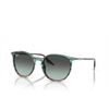 Ray-Ban RB2204 Sunglasses 1394GK striped blue & green - product thumbnail 2/4