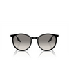 Ray-Ban RB2204 Sunglasses 901/32 black - product thumbnail 1/4