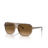Ray-Ban RB2205 Sunglasses 1292M2 havana on transparent brown - product thumbnail 2/4