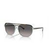 Ray-Ban RB2205 Sunglasses 1376M3 havana on transparent green - product thumbnail 2/4