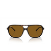 Ray-Ban RB2205 Sunglasses 902/33 havana - product thumbnail 1/4