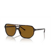 Ray-Ban RB2205 Sunglasses 902/33 havana - product thumbnail 2/4