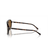 Ray-Ban RB2205 Sunglasses 902/33 havana - product thumbnail 3/4