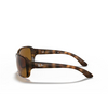 Ray-Ban RB4068 Sunglasses 642/57 havana - product thumbnail 3/4