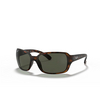 Ray-Ban RB4068 Sunglasses 894/58 havana - product thumbnail 2/4