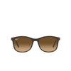 Ray-Ban RB4374 Sunglasses 6600M2 brown on grey - product thumbnail 1/4