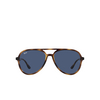 Ray-Ban RB4376 Sunglasses 710/80 havana - product thumbnail 1/4