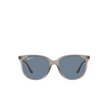Ray-Ban RB4378 Sunglasses 65722V transparent grey - product thumbnail 1/4