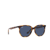 Lunettes de soleil Ray-Ban RB4378 710/80 havana - Vignette du produit 2/4