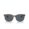 Ray-Ban RB4386 Sunglasses 710/R5 havana - product thumbnail 1/4