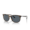 Ray-Ban RB4386 Sunglasses 710/R5 havana - product thumbnail 2/4
