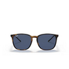 Lunettes de soleil Ray-Ban RB4387 710/80 havana - Vignette du produit 1/4