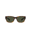 Ray-Ban RB4388 Sunglasses 710/31 havana - product thumbnail 1/4