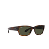 Ray-Ban RB4388 Sunglasses 710/31 havana - product thumbnail 2/4