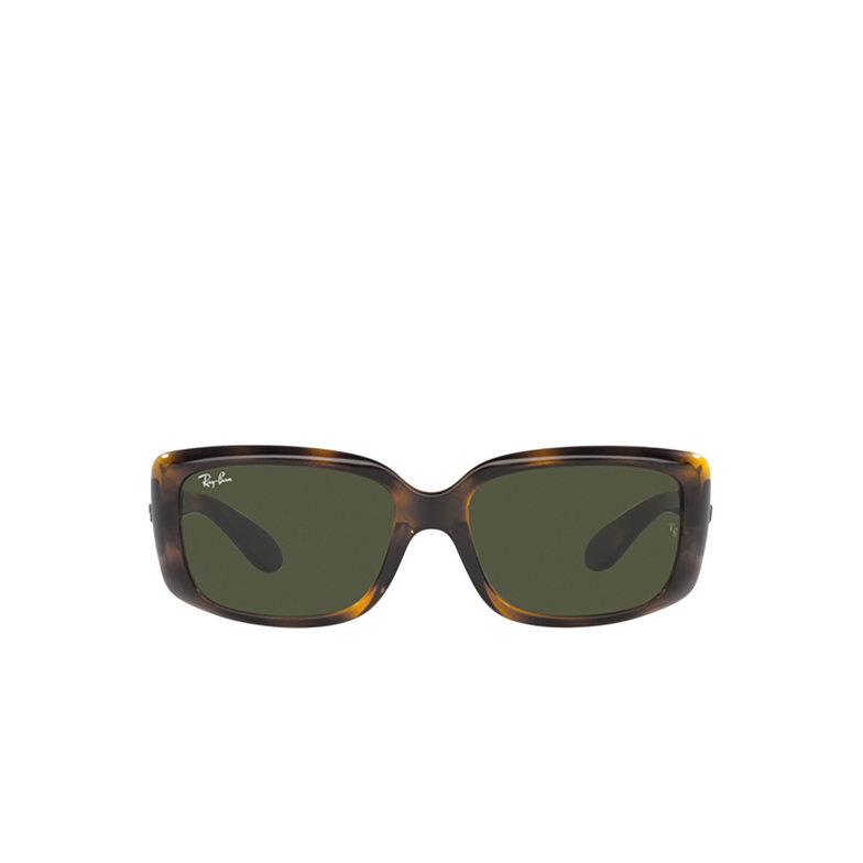 Ray-Ban RB4389 Sunglasses 710/31 havana - 1/4