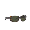 Ray-Ban RB4389 Sunglasses 710/31 havana - product thumbnail 2/4