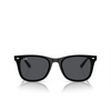 Lunettes de soleil Ray-Ban RB4420 601/87 black - Vignette du produit 1/4