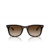 Ray-Ban RB4420 Sunglasses 710/13 havana - product thumbnail 1/4