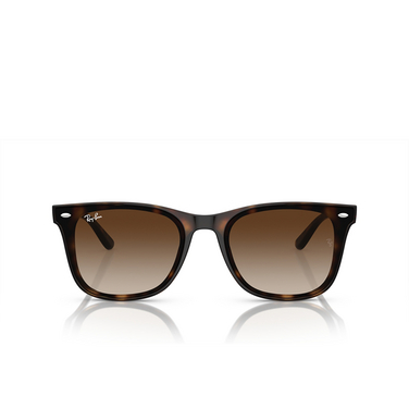 Ray-Ban RB4420 Sunglasses 710/13 havana - front view