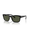 Ray-Ban RB4428 Sunglasses 601/31 black - product thumbnail 2/4