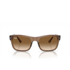 Ray-Ban RB4428 Sonnenbrillen 664051 transparent light brown - Produkt-Miniaturansicht 1/4