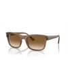 Lunettes de soleil Ray-Ban RB4428 664051 transparent light brown - Vignette du produit 2/4