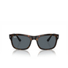 Ray-Ban RB4428 Sunglasses 710/R5 havana - product thumbnail 1/4