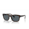 Ray-Ban RB4428 Sunglasses 710/R5 havana - product thumbnail 2/4