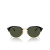 Ray-Ban RB4429 Sunglasses 601/31 black on gold - product thumbnail 1/4