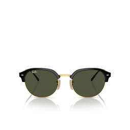 Ray-Ban RB4429 601/31 Black on gold 601/31 black on gold