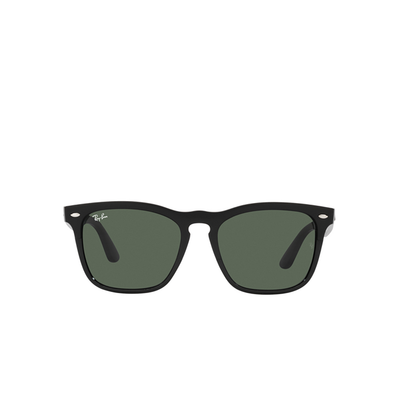 Ray-Ban STEVE Sonnenbrillen 662971 black - 1/4