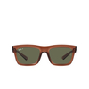 Ray-Ban WARREN Sunglasses 66789A transparent brown - product thumbnail 1/4