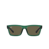 Occhiali da sole Ray-Ban WARREN 6681/3 transparent green - anteprima prodotto 1/4