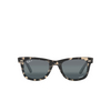 Ray-Ban WAYFARER Sunglasses 1333G6 grey havana - product thumbnail 1/4
