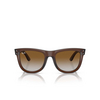 Gafas de sol Ray-Ban WAYFARER REVERSE 6709CB transparent brown - Miniatura del producto 1/4