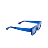 Occhiali da sole Retrosuperfuture COLPO FRANCIS YYX blue - anteprima prodotto 2/4
