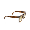 Retrosuperfuture MODO Sunglasses UR3 havana diversa - product thumbnail 2/6