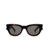 Saint Laurent SL 573 Sunglasses 002 havana - product thumbnail 1/4