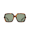 Saint Laurent SL 591 Sunglasses 002 havana - product thumbnail 1/4