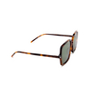 Saint Laurent SL 591 Sunglasses 002 havana - product thumbnail 2/4