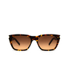 Saint Laurent SL 598 Sunglasses 003 havana - product thumbnail 1/4