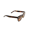 Saint Laurent SL 598 Sunglasses 003 havana - product thumbnail 2/4