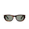 Saint Laurent SL 601 Sunglasses 002 havana - product thumbnail 1/4