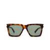 Saint Laurent SL 610 Sunglasses 003 havana - product thumbnail 1/4