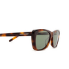 Saint Laurent SL 613 Sunglasses 003 havana - product thumbnail 3/4