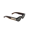 Saint Laurent SL 618 Sunglasses 002 havana - product thumbnail 2/4