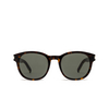 Saint Laurent SL 620 Sunglasses 002 havana - product thumbnail 1/5