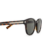 Saint Laurent SL 620 Sunglasses 002 havana - product thumbnail 3/5
