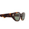 Saint Laurent SL 638 Sunglasses 003 havana - product thumbnail 3/4